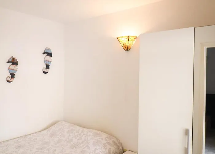 Dinastia B403 By Tenerife & Sales *